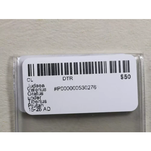 Ancient Greek Coin (3)