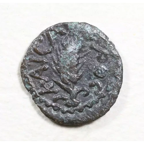 Ancient Greek Coin (2)