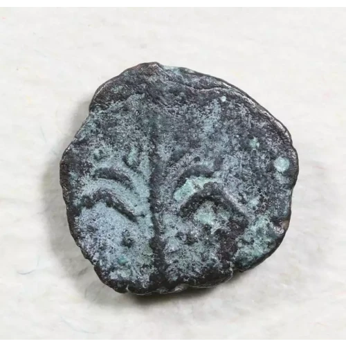 Ancient Greek Coin (2)