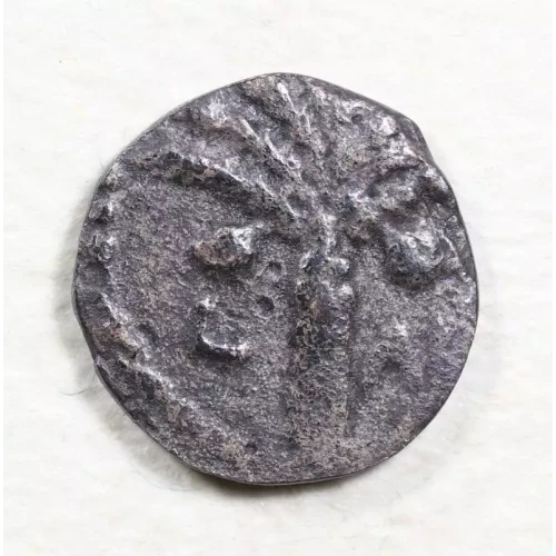 Ancient Greek Coin (2)