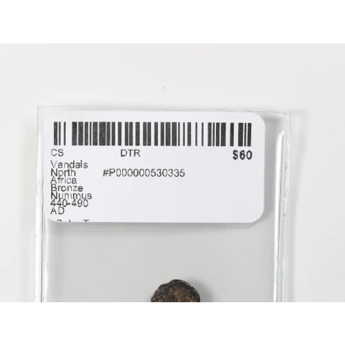 Ancient Greek Coin (3)