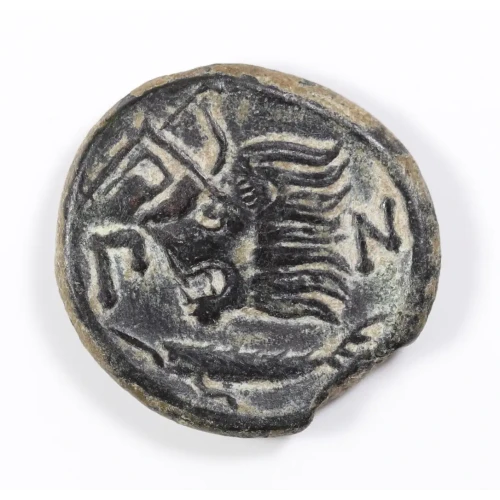 Ancient Greek Coin (2)