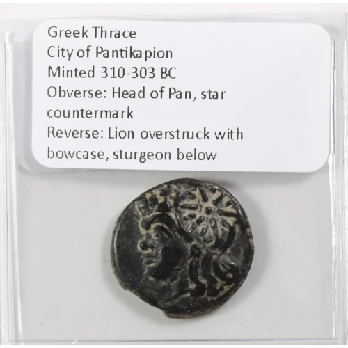 Ancient Greek Coin (3)