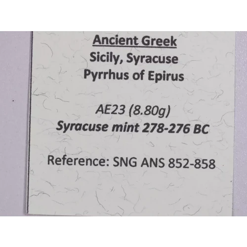 Ancient Greek Coin (5)