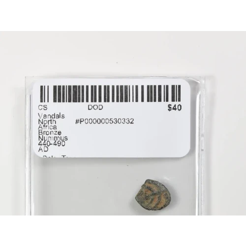 Ancient Greek Coin (3)