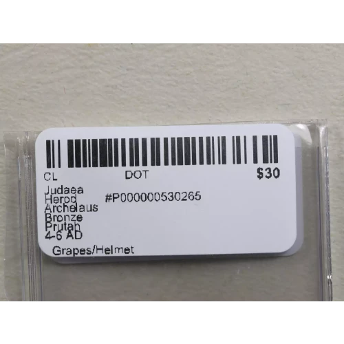 Ancient Greek Coin (3)