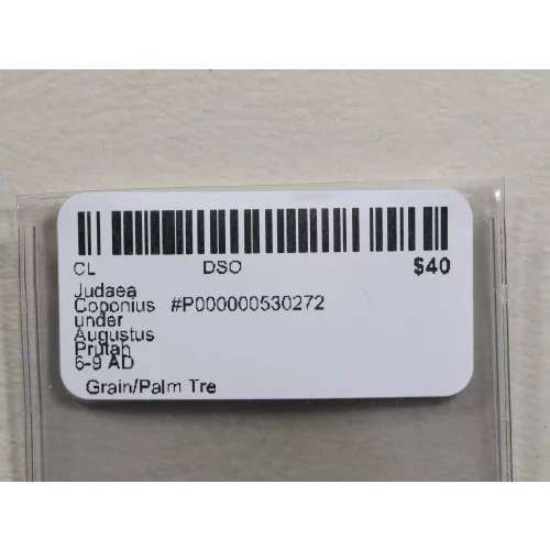 Ancient Greek Coin (3)