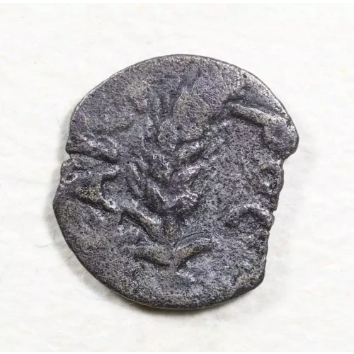 Ancient Greek Coin (2)