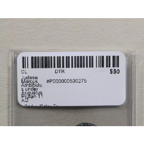 Ancient Greek Coin (3)