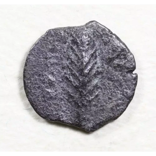 Ancient Greek Coin (2)