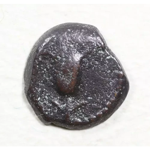 Ancient Greek Coin