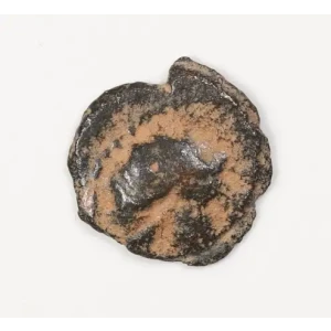 Ancient Greek Coin (2)