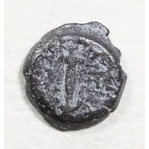 Ancient Greek Coin