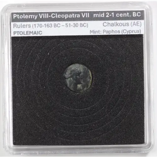 Ancient Greek Coin (4)