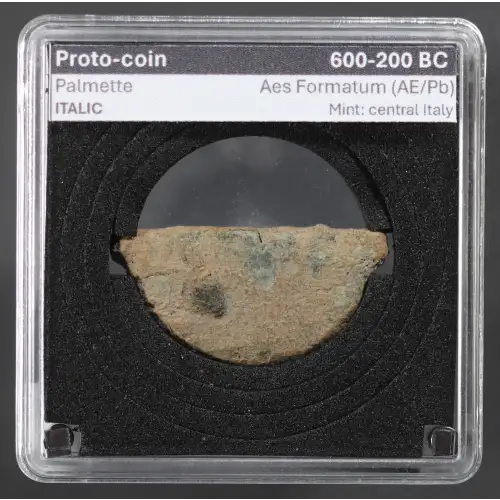 Ancient Greek Coin (2)