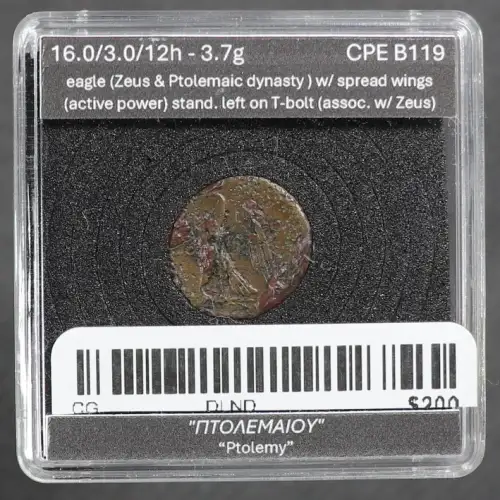 Ancient Greek Coin (2)