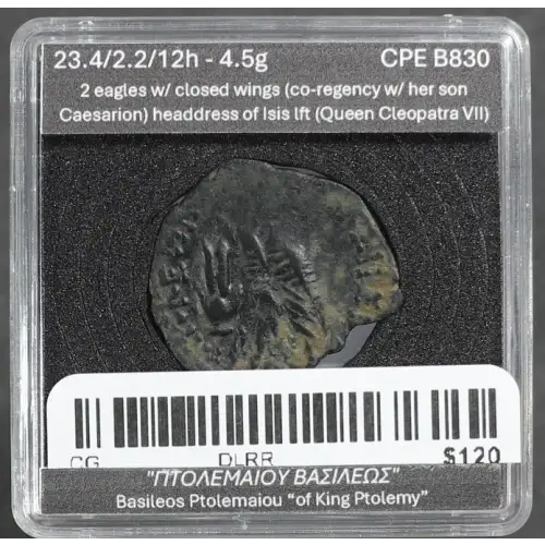 Ancient Greek Coin