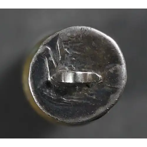 Ancient Greek Coin (2)