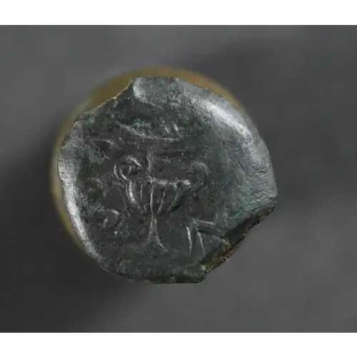 Ancient Greek Coin (2)