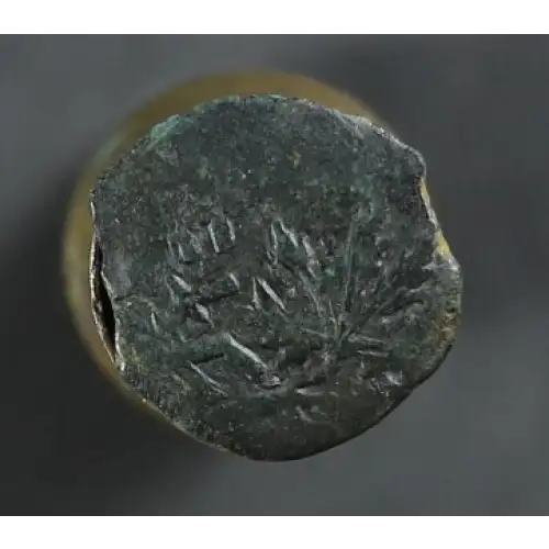 Ancient Greek Coin