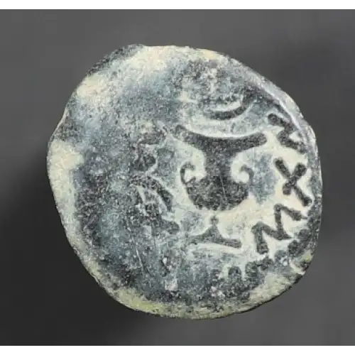 Ancient Greek Coin (3)