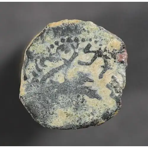 Ancient Greek Coin (4)