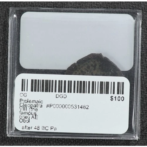 Ancient Greek Coin (4)