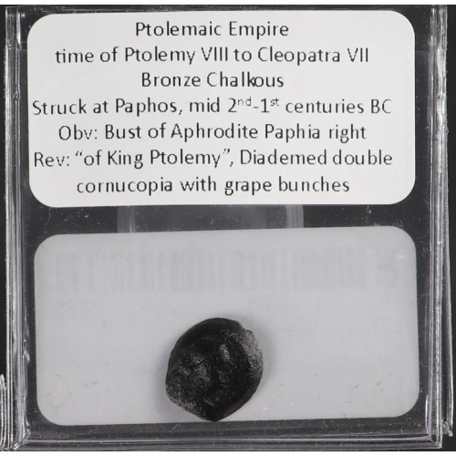 Ancient Greek Coin (2)