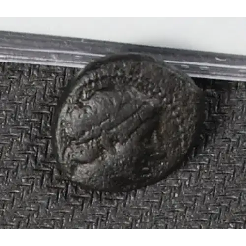 Ancient Greek Coin (2)