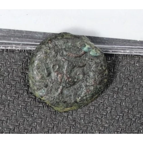 Ancient Greek Coin (3)