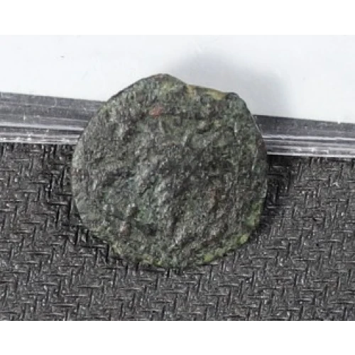 Ancient Greek Coin (2)