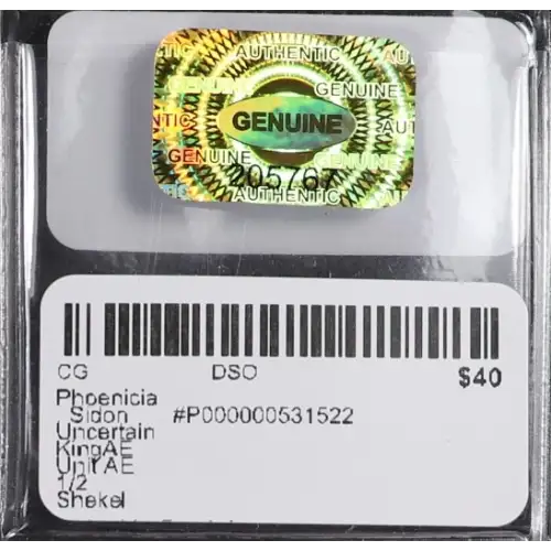 Ancient Greek Coin (2)