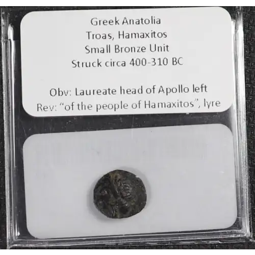Ancient Greek Coin (4)
