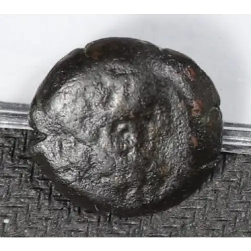 Ancient Greek Coin (3)