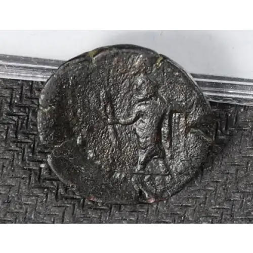 Ancient Greek Coin (4)