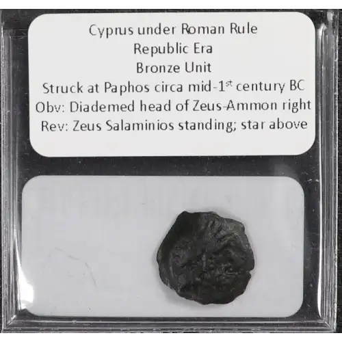 Ancient Greek Coin (2)