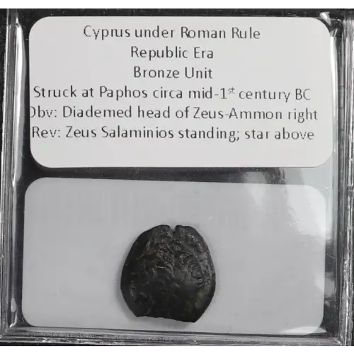 Ancient Greek Coin (4)