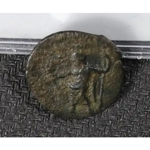Ancient Greek Coin (2)