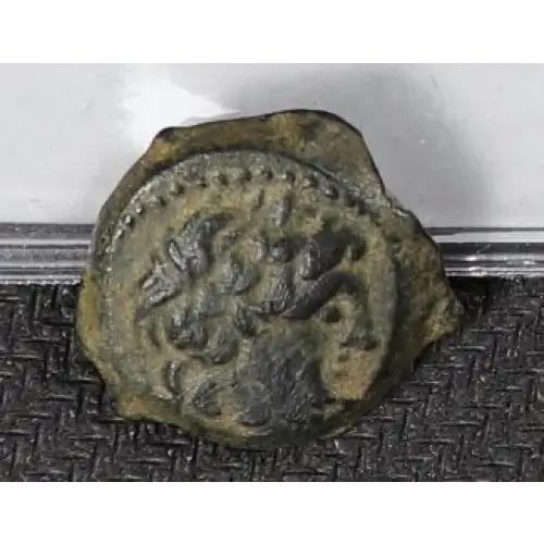 Ancient Greek Coin (2)