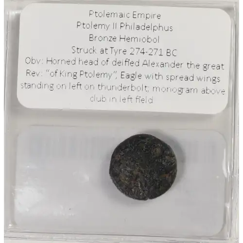 Ancient Greek Coin (4)