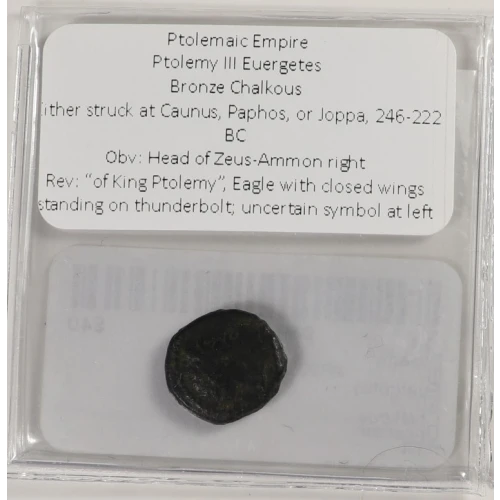 Ancient Greek Coin (3)