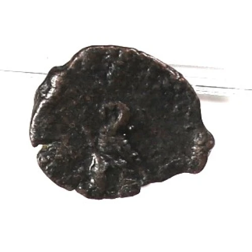 Ancient Greek Coin (2)