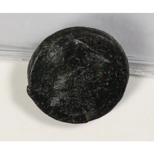 Ancient Greek Coin (2)
