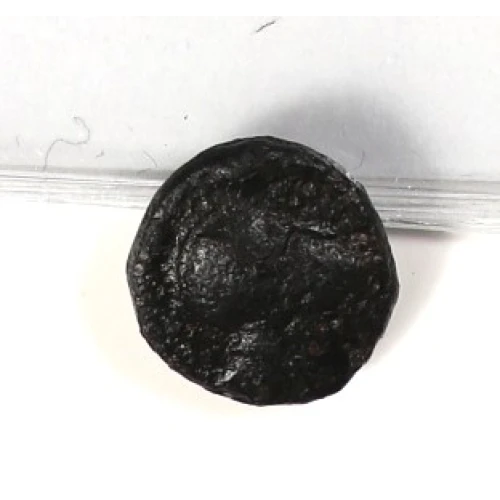 Ancient Greek Coin (2)