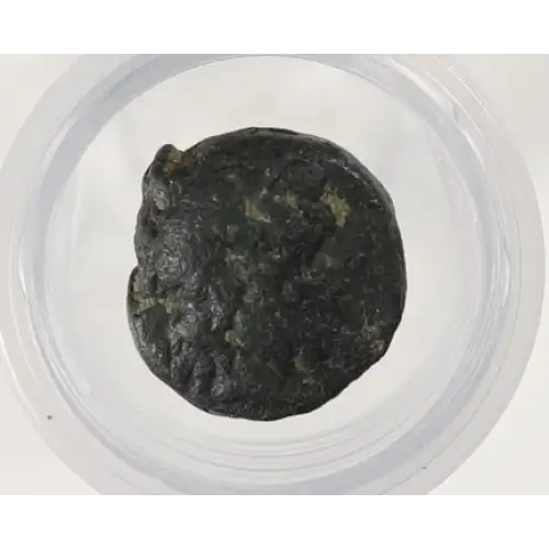 Ancient Greek Coin (4)