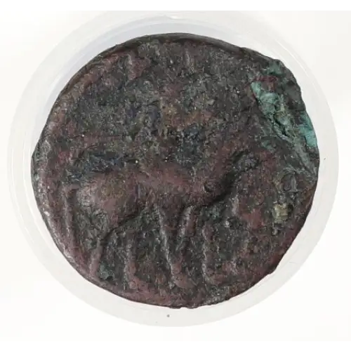 Ancient Greek Coin