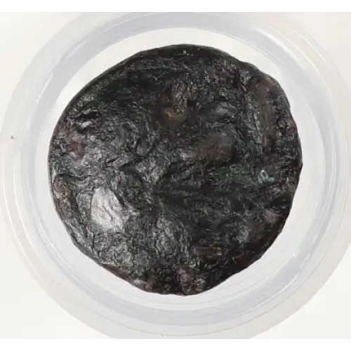 Ancient Greek Coin (4)