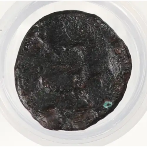 Ancient Greek Coin (3)