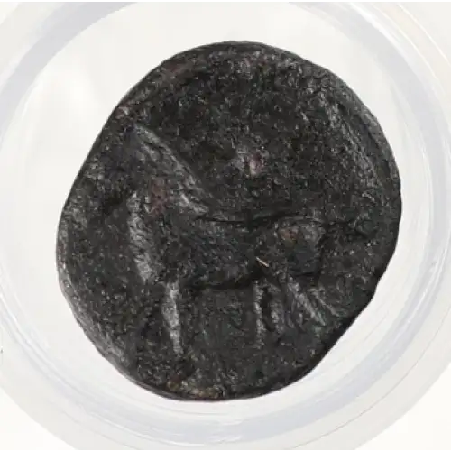 Ancient Greek Coin (4)