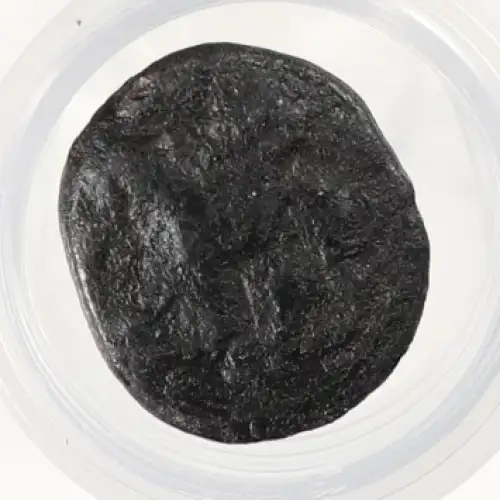 Ancient Greek Coin (3)